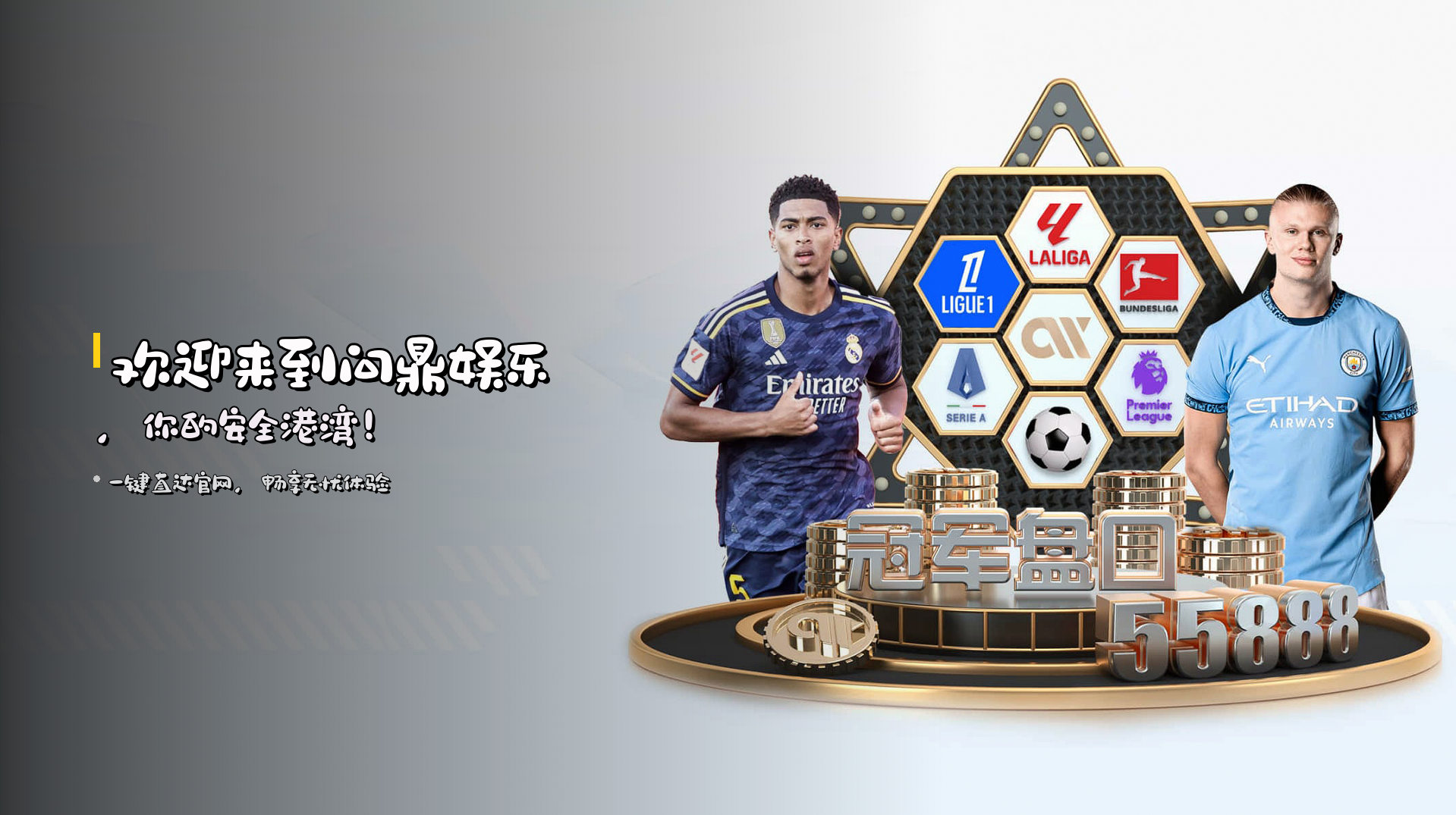 欢迎来到<strong>问鼎娱乐</strong>，你的安全港湾！